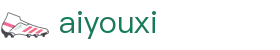 爱游戏体育AYX官方入口平台